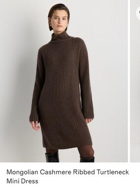 Quince Mongolian Cashmere Ribbed Turtleneck Mini Dress in Brown